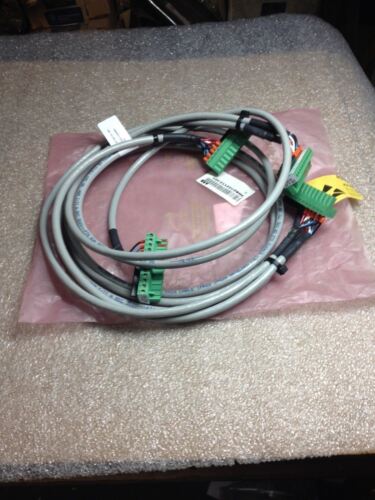 LUMBERG 0002652 CORDSET
