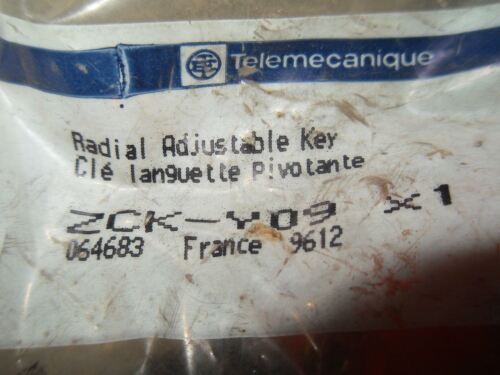 Telemecanique ZCK-Y09 Radial Adjustable Key