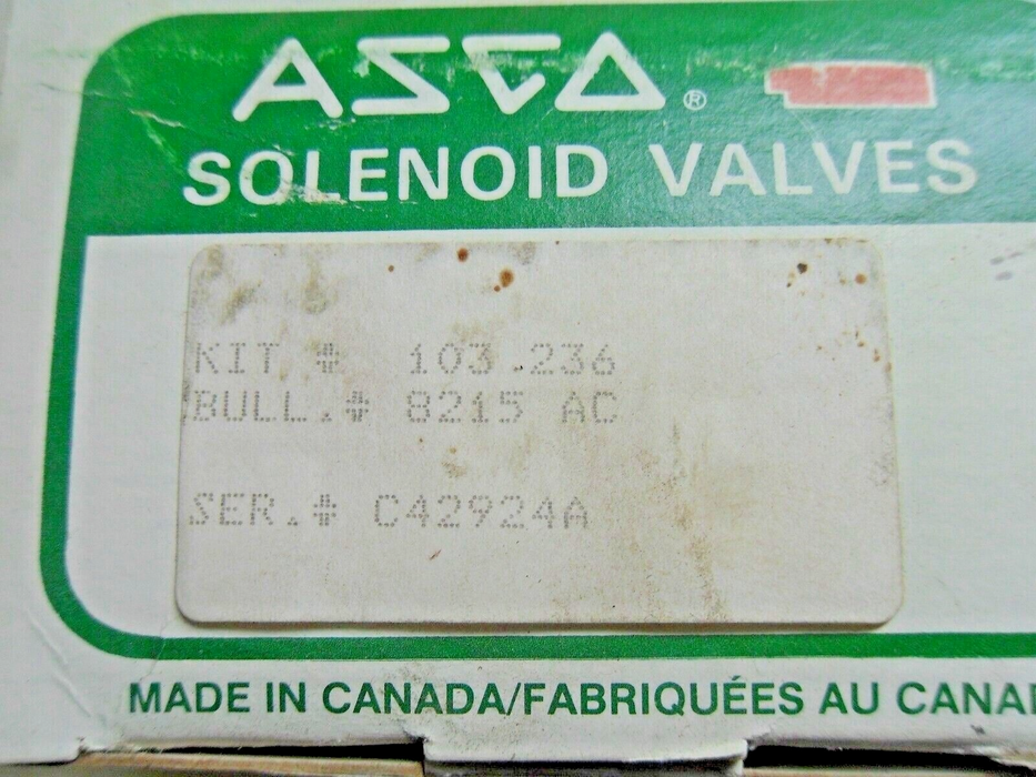 ASCO 103 236 Rebuild Kit