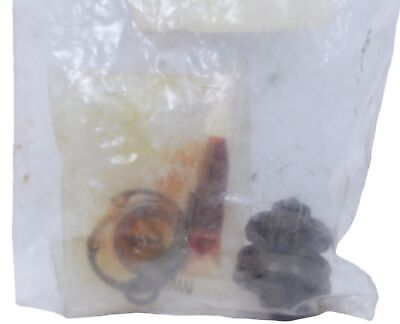 Custom Precision Products 19-1215-1.5-316L Valve Repair Kit