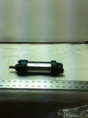 Numatics P1AK-03A1P-CAA0 CYLINDER