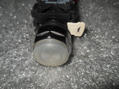 Cutler-Hammer E22TL1 Push to Test Pilot Light