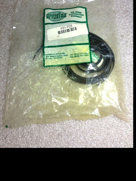 Numatics K91-P05 Repair Seal Kit