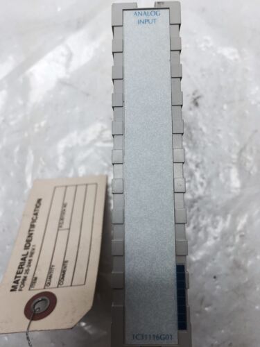Westinghouse 1C31116G01 Analog Module