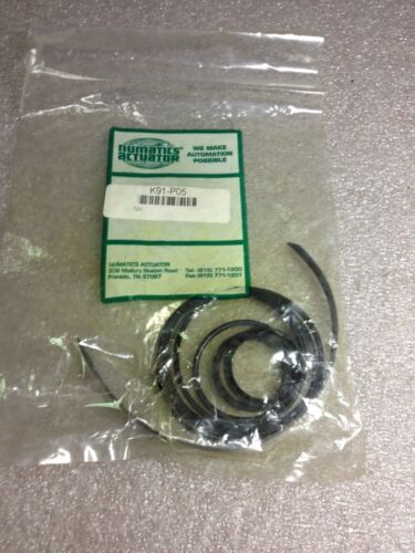 Numatics K91-P05 Repair Seal Kit