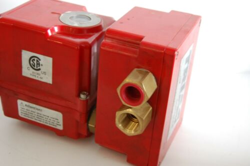 Triac WEY-500 Valve