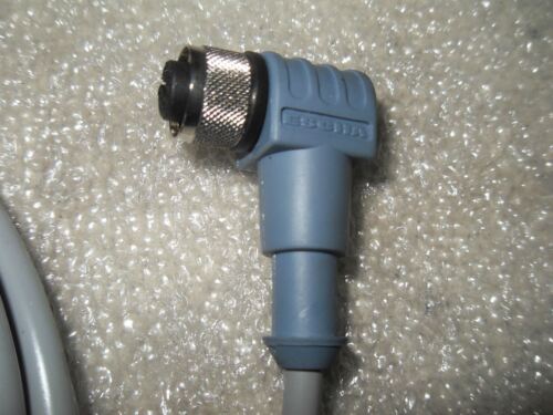 Bielomatik WWAKRT4.4P3-6/S110/S131 8008407 Eurofast Cordset