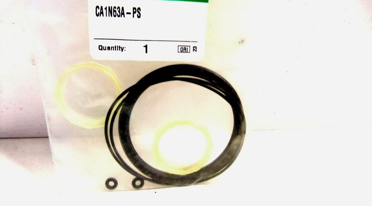 2 SMC Seal Kits CA1N63-PS