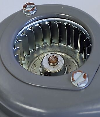 Dayton 2C782 115 V Shaded Pole Blower Motor