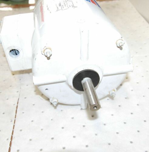 MAGNETEK CENTURY E PLUS 10-1869-42-01 CAT.H647 MOTOR