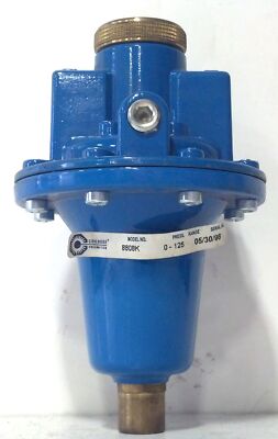 Coilhose 8808K 1 in NPT 0-125 psi T-Handle Air Pressure Regulator