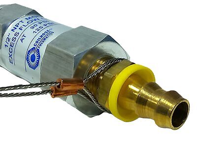 Coilhouse Pneumatics SV804 Excess Flow Check Valve Assembly