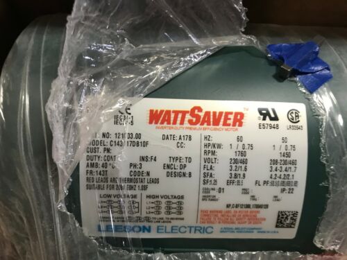 LEESON Motor C143T17DB10F