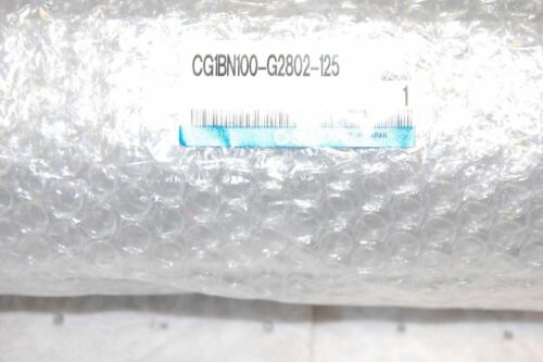 SMC AIR CYLINDER CG1BN100-G2802-125