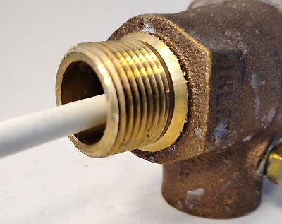 Watts 40XL-5 3/4 in Pressure and Temperature Relief Valve