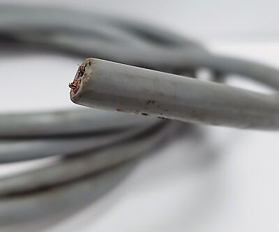 Pepperl NJ15-30GK50-E2 Inductive Proximity Sensor