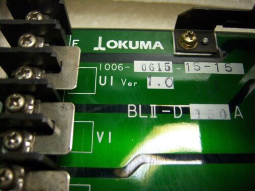 Okuma Drive BLII-D150A 1006-0625-15-15