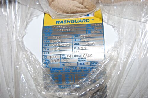 Leeson 113022 00 Washguard Motor