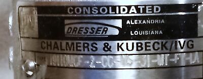 Dresser 19110MCF-2-CC-MS-31-MT-FT-LA Pressure Relief Valve