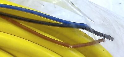 Allen-Bradley 889P-F3AB-10 3-Pin Pico Straight 10 Meter PLC Cable