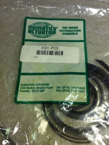 Numatics K91-P05 Repair Seal Kit
