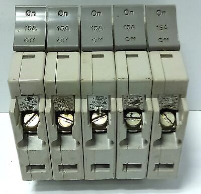 Square D SDT115 120 V 15 A Miniature Circuit Breaker