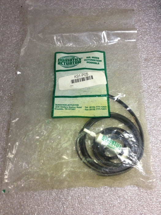 Numatics K91-P05 Repair Seal Kit