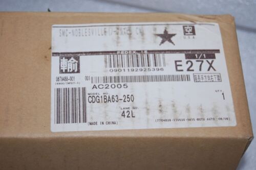 SMC CDG1BA63-250 PNEUMATIC AIR CYLINDER