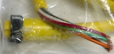 Brad Connectivity/Woodhead 1300070031 Cable
