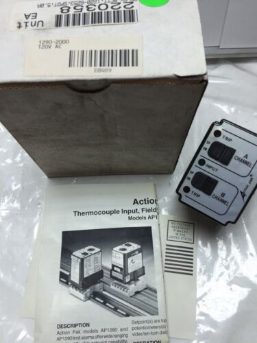 Action Pak 1290-2000 120 V AC Relay