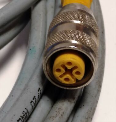 Turck RK 4.2T-6 Cable