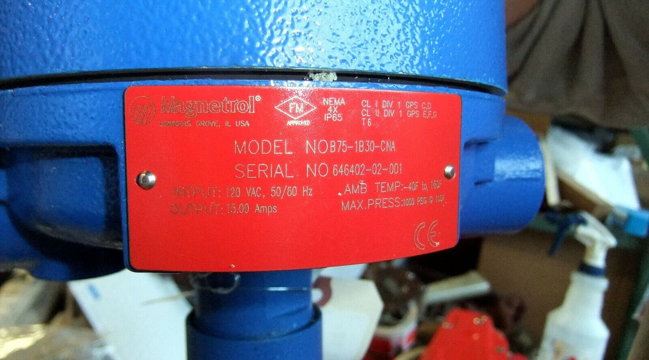 Magnetrol Level and Flow Control B75-1B30-CNA