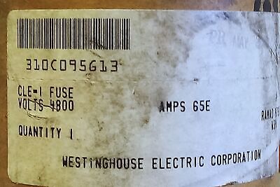 Westinghouse 310C095G13 CLE-1 65E 4800V Fuse