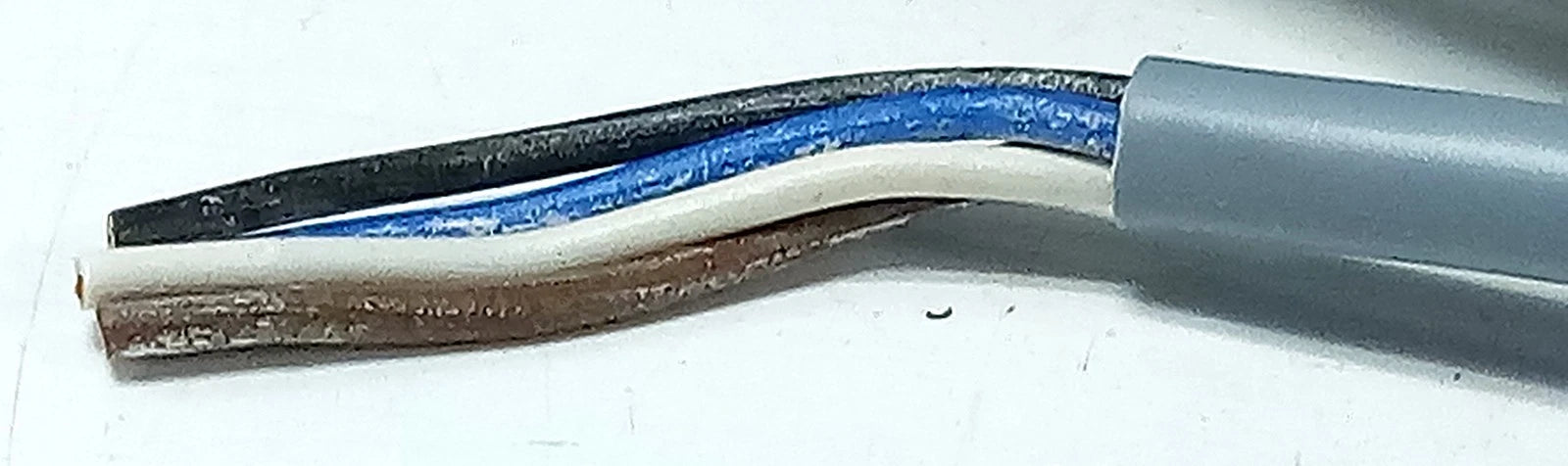 Pepperl Fuchs V1-W-5M-PVC 032798 250 V AC/DC 5 m PLC Cable