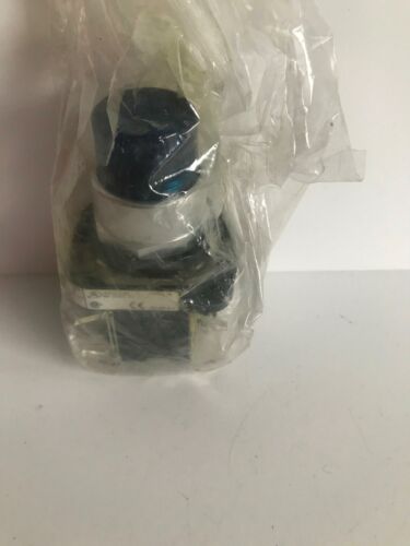 Allen-Bradley 800T-QAH24RD1 Illuminated Pushbutton