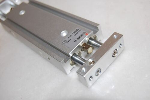 SMC CXSWM10-30 Dual Rod Cylinder