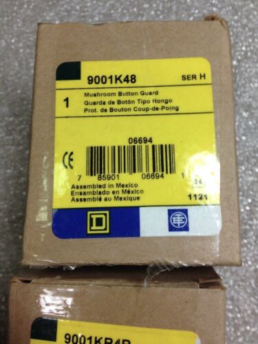 Hoffman E-1PBX Pushbutton Enclosure with Square D 9001-KR4R Pushbutton