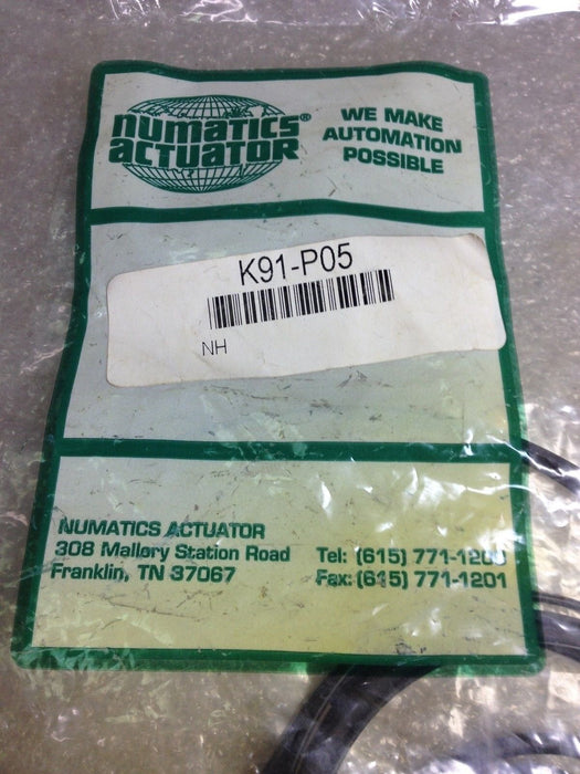 Numatics K91-P05 Repair Seal Kit