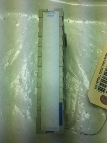 Emerson 1C31116G04 Analog Input