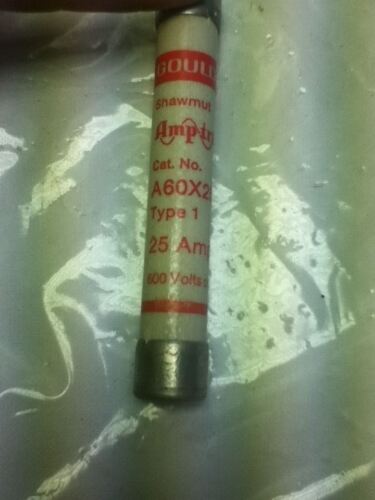 Gould A60X25 Fuse