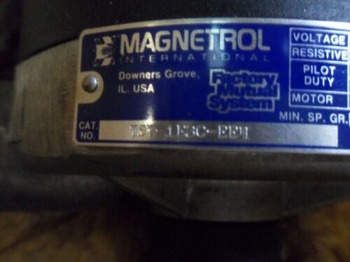 1 Magnetrol T57-1E3C-EE4 Level