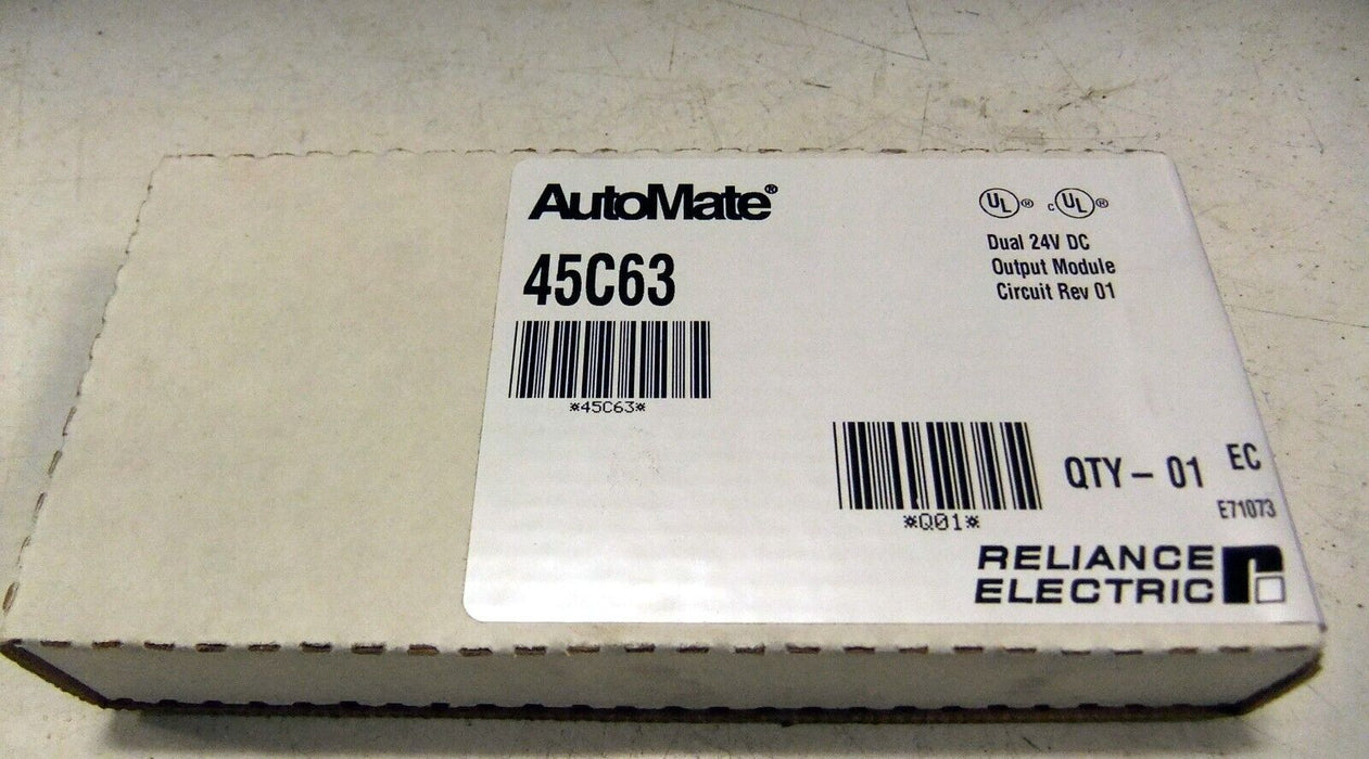 Reliance Automate Dual 24V Output 45C63