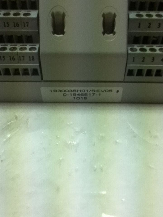 Emerson 1B30035H01 Ovation Input Module- No Box