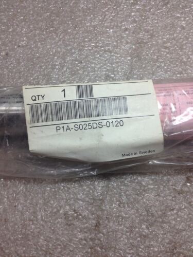 Parker P1A-S025DS-0120 Mini Cylinder