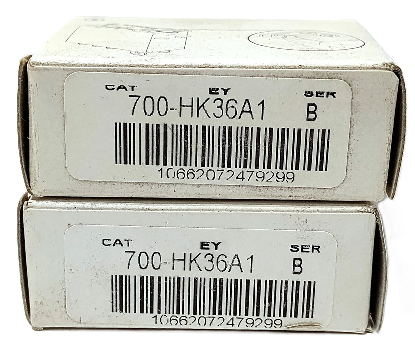 Allen-Bradley 700-HK36A1 Ser B 120 V AC 16 A Miniature Ice Cube Relay