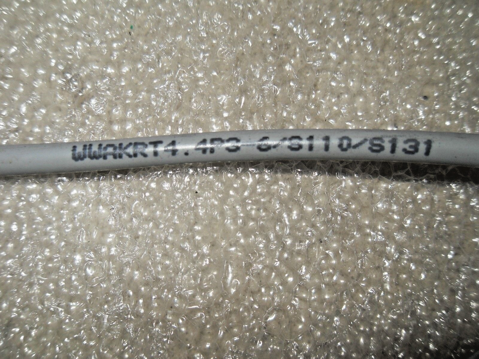 Bielomatik WWAKRT4.4P3-6/S110/S131 8008407 Eurofast Cordset