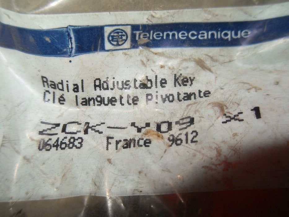 Telemecanique ZCK-Y09 Radial Adjustable Key