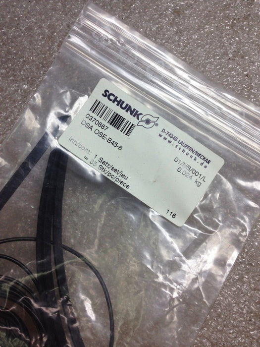 Schunk DSA-OSE-B45-8 Seal Kit