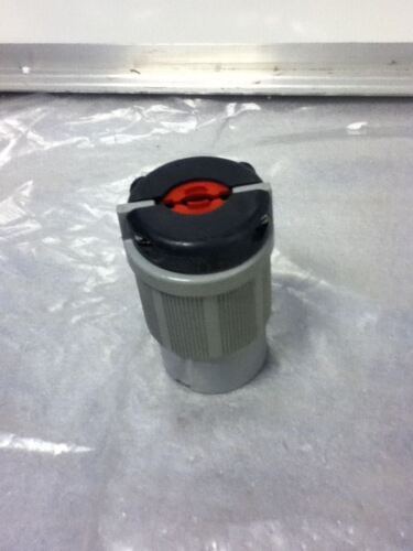 Arrow Hart AH6422 Plug