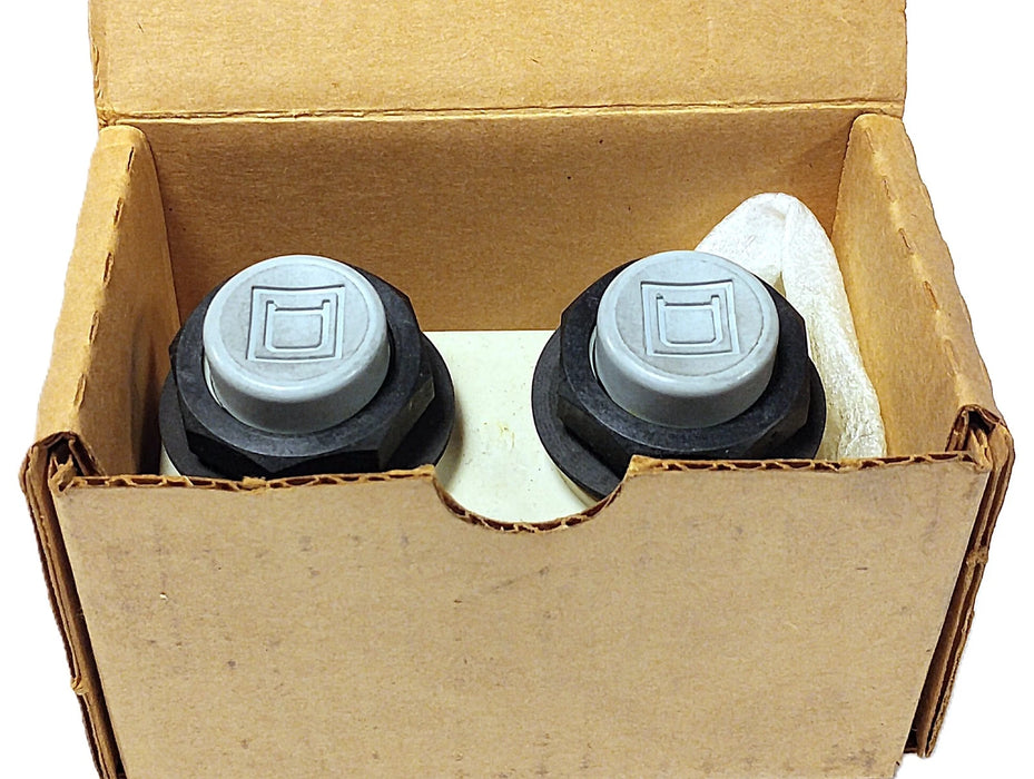Square D 9001-SKRU-5 600 V 10 A Interlocked Pushbuttons for 9001-SKYP Pendant